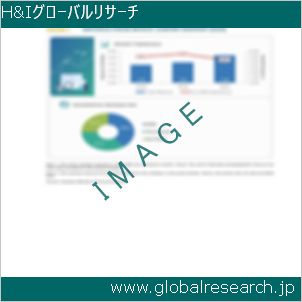 グローバルリサーチ調査レポートのイメージ